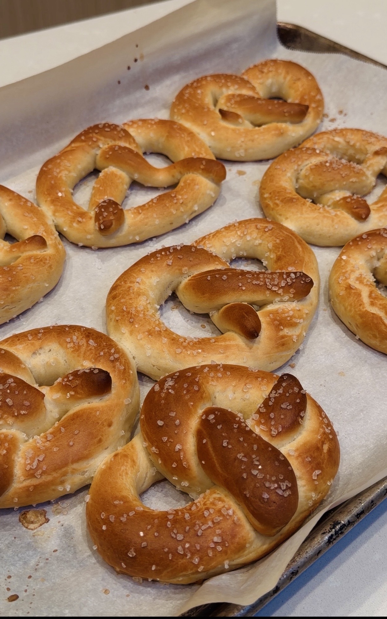 Sourdough discard soft pretzels, golden brown and sprinkled with coarse salt, on a parchment-lined baking sheet